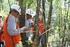 GESTIÓN DE ZONAS FORESTALES Perfiles ocupacionales en la actividad de gestión de zonas forestales
