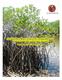 Los manglares de México: estado actual y establecimiento de un programa de monitoreo a largo plazo: 1ra. etapa
