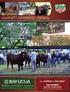 Prevalencia de endoparásitos en caballo criollo venezolano en dos hatos del estado Apure - Venezuela