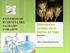 DETERMINACIÓN DE ÁCIDO FÓLICO EN HARINA DE TRIGO Método HPLC-DAD Basado en método Osseyi: Modificado