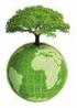 5 de Junio - Día Mundial del Medio Ambiente. La Economía Verde: te incluye a vos?