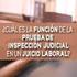 PRUEBA DE INSPECCIÓN JUDICIAL CON ASISTENCIA DE PERITOS. Por: Lic. Gabriela Lara López Juez Único Menor Mixto en Uriangato, Gto.