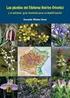 Aportaciones a la flora vascular de Burgos. Contributions to the vascular flora of Burgos. w y