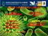 Unidad 6. Nutrición microbiana y caracterización de bacterias. Práctica 9 Metabolismo de bacterias.
