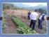 Programa Nacional de Desarrollo Rural Sostenible (PRONADERS) Al Segundo Trimestre, 2013