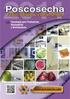 Informe del uso de bolsas DeccoPac* para el transporte de ultramar de melones Galia y Amarillo