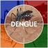 Guía de Atención Clínica Integral del paciente con Dengue
