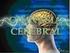 Qué es la Gimnsia Cerebral?