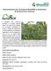 Recomendaciones para el empleo de BactoCROP en plantaciones de Garbanzo (Cicer arietinum)