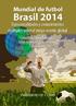 Mundial de futbol Brasil 2014
