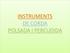 INSTRUMENTS DE CORDA POLSADA I PERCUDIDA
