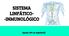 SISTEMA LINFÁTICO- -INMUNOLÓGICO. Grupo nº7 de Anatomía