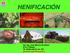 HENIFICACIÓN. Ing. Agr. Juan Marcos Giordano E.E.A. Rafaela TE int. 487