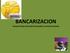 BANCARIZACION TRANSACCIONES POR MONTOS MAYORES A BOLIVIANOS