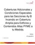 COBERTURAS ADICIONALES Y CONDICIONES ESPECIALES PARA LAS SECCIONES A Y B EDIFICIOS Y CONTENIDOS... 3 PRELIMINAR... 3