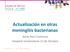 Actualización en otras meningitis bacterianas. Jesús Ruiz Contreras Hospital Universitario 12 de Octubre