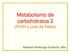 Metabolismo de carbohidratos 2 (PirDH y ciclo de Krebs) Marijose Artolozaga Sustacha, MSc
