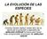 LA EVOLUCIÓN DE LAS ESPECIES