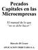 Pecados Capitales en las Microempresas