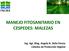 MANEJO FITOSANITARIO EN CESPEDES: MALEZAS. Ing. Agr. Mag. Angela B. Della Penna Cátedra de Protección Vegetal