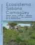 TABLA DE CONTENIDO INTRODUCCIÓN 1 1. Ecosistema Sabana-Camagüey 3 2. Proyecto PNUD/GEF Sabana-Camagüey 7 3. Avances en el conocimiento de la flora y