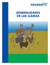 GENERALIDADES DE LAS LLAMAS