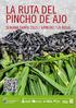 LA RUTA DEL PINCHO DE AJO SEMANA SANTA 2015 / ARNEDO / LA RIOJA