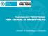 PLANEACION TERRITORIAL PLAN DECENAL DE SALUD PUBLICA. Dirección de Epidemiologia y Demografía