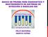 BANCO DE PRUEBA PARA DIAGNOSTICO Y MANTENIMIENTO EN SISTEMAS DE INYECCIÓN A GASOLINA GDI FÉLIX MAYORGA MARTIN NÚÑEZ