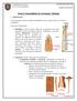 Tema 3: Generalidades de Artrología y Miología