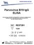 Parvovirus B19 IgG ELISA