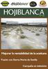 HOJIBLANCA. Mejorar la rentabilidad de la aceituna. Fusión con Sierra Norte de Sevilla. Campaña en televisión Nº 48