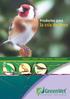 Papagayos - Canarios - Pájaros Silvestres - Pájaros Exóticos