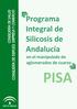 Programa Integral de Silicosis de Andalucía en el manipulado de aglomerados de cuarzo