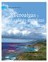 Microalgas y. biotoxinas marinas. costas mexicanas. en las. Cicimar: La puerta del ipn al mar