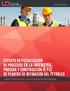 Experto en Fiscalización de procesos en la ingeniería, procura y construcción (E.P.C) de plantas de refinación del Petróleo