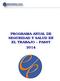 PROGRAMA ANUAL DE SEGURIDAD Y SALUD EN EL TRABAJO PASST 2014