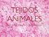 TEJIDOS ANIMALES por Jorge Alegría y Zoé Álvarez
