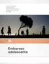 Primer Informe ı Salud Sexual, Salud Reproductiva y Derechos Humanos en Chile II. Embarazo adolescente