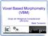 Voxel Based Morphometry (VBM) Grupo de Inteligencia Computacional UPV-EHU Maite Termenón