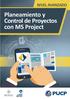 Planeamiento y Control de Proyectos con MS Project