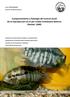 Comportamiento y fisiología del control social de la reproducción en el pez cíclido Cichlasoma dimerus (Heckel, 1840)