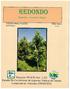 REDONDO. Magnolia yoroconte Dandy. Proyecto PD 8/92 Rev. 2 (F) Estudio 'de Crecimiento de Especies Nativas de Interes Comercia1.en Honduras (PROECEN)