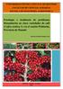 Fenología e incidencia de problemas fitosanitarios en cinco variedades de café (Coffea arabica L) en el cantón Pichincha, Provincia de Manabí