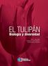 EL TULIPÁN. Biología y diversidad. Libia I. Trejo-Téllez Fernando C. Gómez-Merino Maribel Ramírez-Martínez