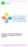 Evaluación Primer Plan Integral de Diabetes de Andalucía Resumen