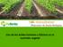 Agricultura. Uso de los ácidos húmicos y fúlvicos en la nutrición vegetal