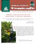 Chamorro et al (3), en una investigación desarrollada en lotes de variedad Caturra sembrados a 1,5 x 1,5m y evaluados durante 4 cosechas, encontraron