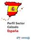 Perfil Sector Calzado España