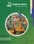 Prooil de México es una empresa líder en la automatización y servicios industriales.